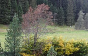 Eine ruhige Woche und bärige Wanderungen, Bild 1/2