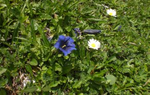 Iris erster Wanderblog, Bild 1/3