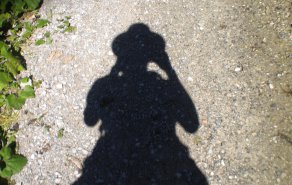 Im Schatten . . ., Bild 1/2