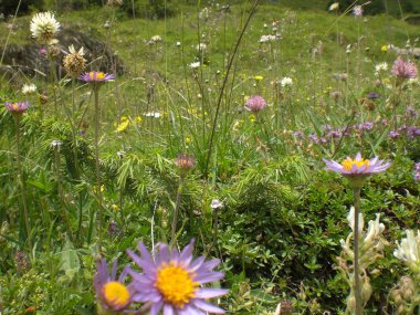 14 lustige Wandersleut starten voll Elan, Bild 1/1