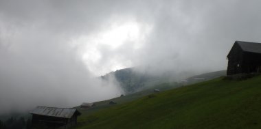 Im Nebel des..., Bild 1/3