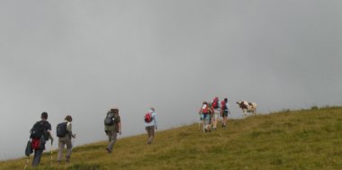 Regen Regentröpfchen . . . , Bild 2/2