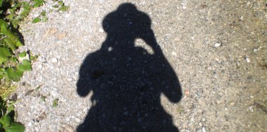 Im Schatten . . ., Bild 1/2