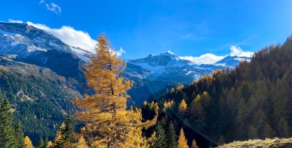 -de-hotel-tuxertal-wanderhotel-goldenerherbst bild#1
