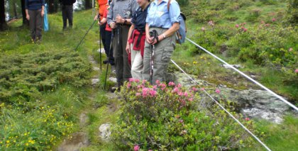 naturhotel-urlaubsfotos-sommer-2009-20-27-juni-wanderopening bild#14