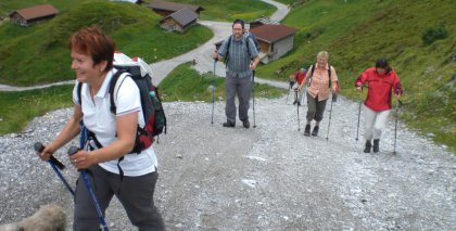 naturhotel-urlaubsfotos-sommer-2009-28-juni-bis-4-juli-wandern-im-tuxertal bild#7
