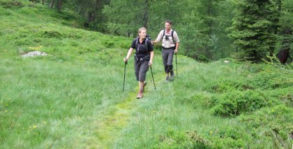 naturhotel-urlaubsfotos-sommer-2009-28-juni-bis-4-juli-wandern-im-tuxertal bild#55
