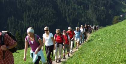 naturhotel-urlaubsfotos-sommer-2009-12-18-juli-wanderurlaub-im-tuxertal bild#75