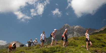 naturhotel-urlaubsfotos-sommer-2009-26-juli-bis-1-august-wandern-im-tuxertal bild#80