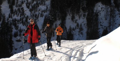 naturhotel-urlaubsfotos-winter-2009-jaenner--skifahren-und-schneeschuhwandern bild#11
