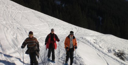 naturhotel-urlaubsfotos-winter-2009-jaenner--skifahren-und-schneeschuhwandern bild#12