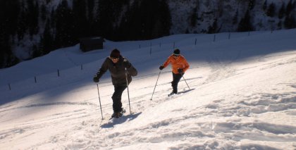 naturhotel-urlaubsfotos-winter-2009-jaenner--skifahren-und-schneeschuhwandern bild#14