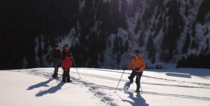 naturhotel-urlaubsfotos-winter-2009-jaenner--skifahren-und-schneeschuhwandern bild#17