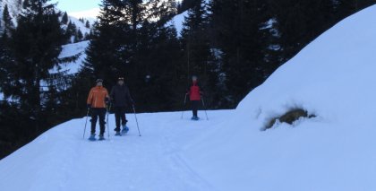 naturhotel-urlaubsfotos-winter-2009-jaenner--skifahren-und-schneeschuhwandern bild#24