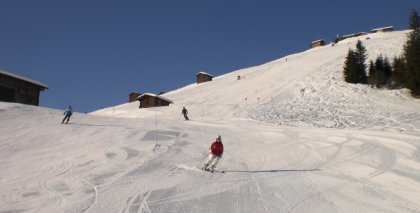 naturhotel-urlaubsfotos-winter-2009-jaenner--skifahren-und-schneeschuhwandern bild#30