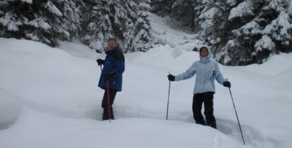 naturhotel-urlaubsfotos-winter-2009-jaenner--skifahren-und-schneeschuhwandern bild#152