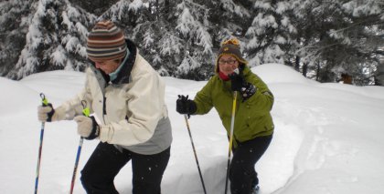 naturhotel-urlaubsfotos-winter-2009-jaenner--skifahren-und-schneeschuhwandern bild#153