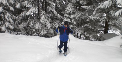 naturhotel-urlaubsfotos-winter-2009-jaenner--skifahren-und-schneeschuhwandern bild#156