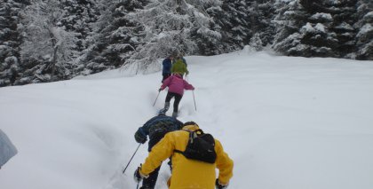 naturhotel-urlaubsfotos-winter-2009-jaenner--skifahren-und-schneeschuhwandern bild#159