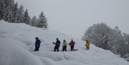 naturhotel-urlaubsfotos-winter-2009-jaenner--skifahren-und-schneeschuhwandern bild#164