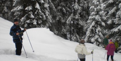 naturhotel-urlaubsfotos-winter-2009-jaenner--skifahren-und-schneeschuhwandern bild#165