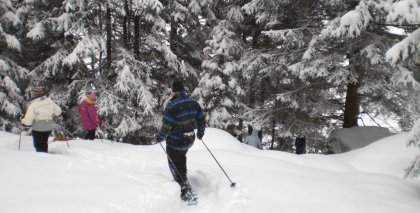 naturhotel-urlaubsfotos-winter-2009-jaenner--skifahren-und-schneeschuhwandern bild#166