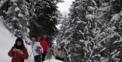 naturhotel-urlaubsfotos-winter-2009-jaenner--skifahren-und-schneeschuhwandern bild#174