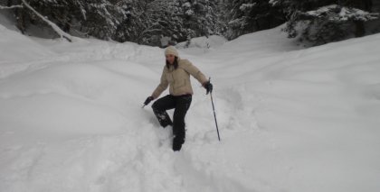 naturhotel-urlaubsfotos-winter-2009-jaenner--skifahren-und-schneeschuhwandern bild#179
