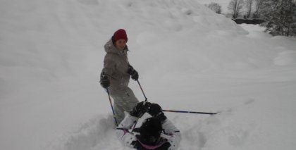 naturhotel-urlaubsfotos-winter-2009-jaenner--skifahren-und-schneeschuhwandern bild#180