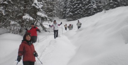 naturhotel-urlaubsfotos-winter-2009-jaenner--skifahren-und-schneeschuhwandern bild#186