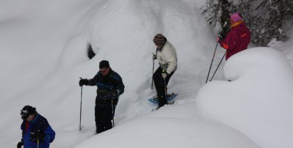 naturhotel-urlaubsfotos-winter-2009-jaenner--skifahren-und-schneeschuhwandern bild#202