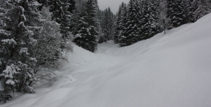 naturhotel-urlaubsfotos-winter-2009-jaenner--skifahren-und-schneeschuhwandern bild#203