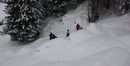 naturhotel-urlaubsfotos-winter-2009-jaenner--skifahren-und-schneeschuhwandern bild#204