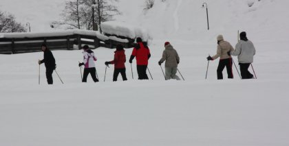naturhotel-urlaubsfotos-winter-2009-jaenner--skifahren-und-schneeschuhwandern bild#211
