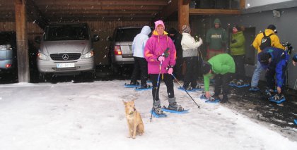 naturhotel-urlaubsfotos-winter-2009-jaenner--skifahren-und-schneeschuhwandern bild#213