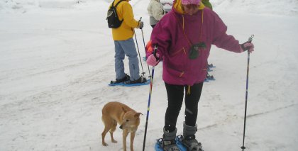 naturhotel-urlaubsfotos-winter-2009-jaenner--skifahren-und-schneeschuhwandern bild#215