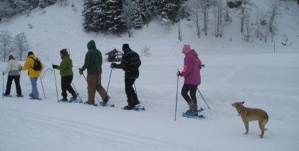 naturhotel-urlaubsfotos-winter-2009-jaenner--skifahren-und-schneeschuhwandern bild#216