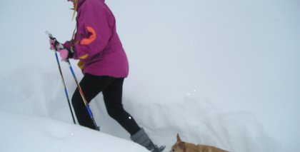 naturhotel-urlaubsfotos-winter-2009-jaenner--skifahren-und-schneeschuhwandern bild#217