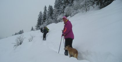 naturhotel-urlaubsfotos-winter-2009-jaenner--skifahren-und-schneeschuhwandern bild#218