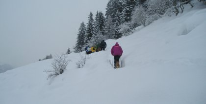 naturhotel-urlaubsfotos-winter-2009-jaenner--skifahren-und-schneeschuhwandern bild#219