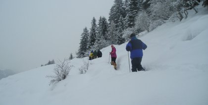 naturhotel-urlaubsfotos-winter-2009-jaenner--skifahren-und-schneeschuhwandern bild#220