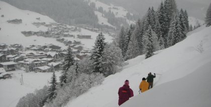 naturhotel-urlaubsfotos-winter-2009-jaenner--skifahren-und-schneeschuhwandern bild#229
