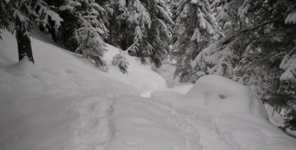 naturhotel-urlaubsfotos-winter-2009-jaenner--skifahren-und-schneeschuhwandern bild#230