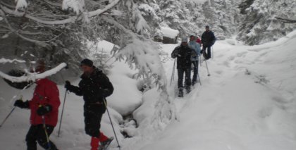naturhotel-urlaubsfotos-winter-2009-februar--skifahren-und-schneeschuhwandern bild#2
