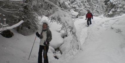 naturhotel-urlaubsfotos-winter-2009-februar--skifahren-und-schneeschuhwandern bild#5