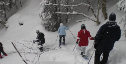 naturhotel-urlaubsfotos-winter-2009-februar--skifahren-und-schneeschuhwandern bild#6