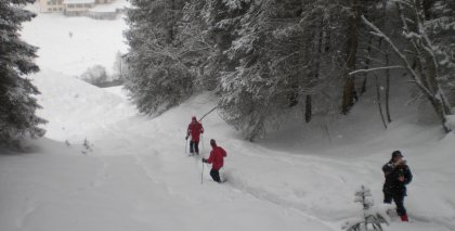 naturhotel-urlaubsfotos-winter-2009-februar--skifahren-und-schneeschuhwandern bild#7