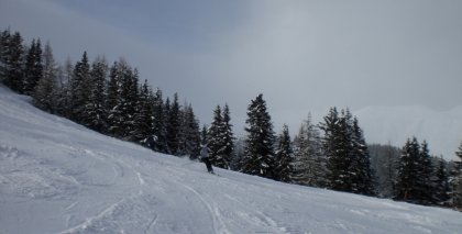 naturhotel-urlaubsfotos-winter-2009-februar--skifahren-und-schneeschuhwandern bild#70