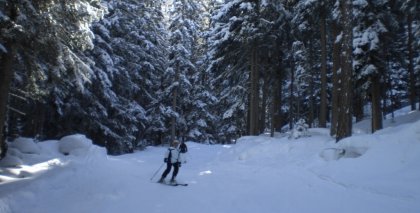 naturhotel-urlaubsfotos-winter-2009-februar--skifahren-und-schneeschuhwandern bild#100