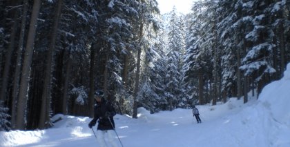 naturhotel-urlaubsfotos-winter-2009-februar--skifahren-und-schneeschuhwandern bild#102